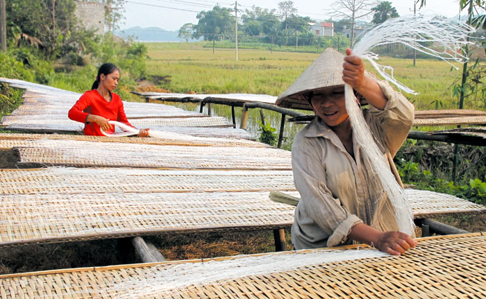 Làng miến Giới Phiên vào vụ tết.