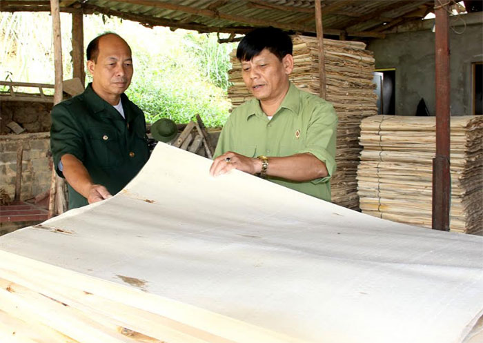 Cựu chiến binh Nguyễn Minh Tiến (bên phải) kiểm tra sản xuất ván bóc tại xưởng chế biến.