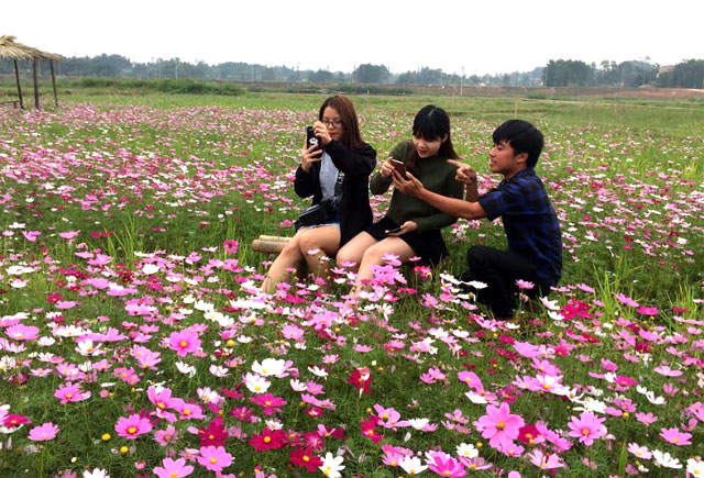 Anh Vũ Bá Thọ hướng dẫn du khách các góc ảnh đẹp trên cánh đồng hoa.