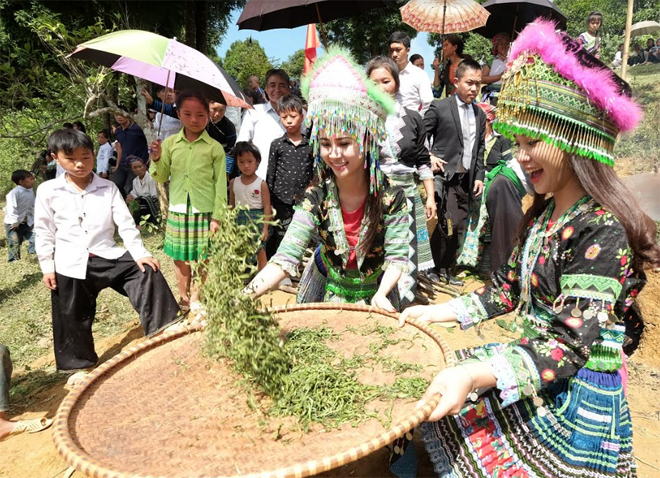 Trải nghiệm quy trình sản xuất chè ở Suối Giàng. (Ảnh: Thanh Chi)