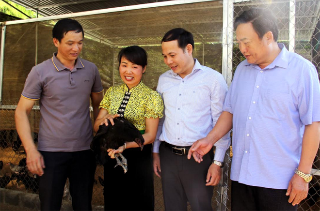 Lãnh đạo huyện Trạm Tấu thăm mô hình chăn nuôi gà đen quy mô 1.000 con của gia đình ông Lường Văn Sai ở thôn Đầu Cầu, xã Xà Hồ.