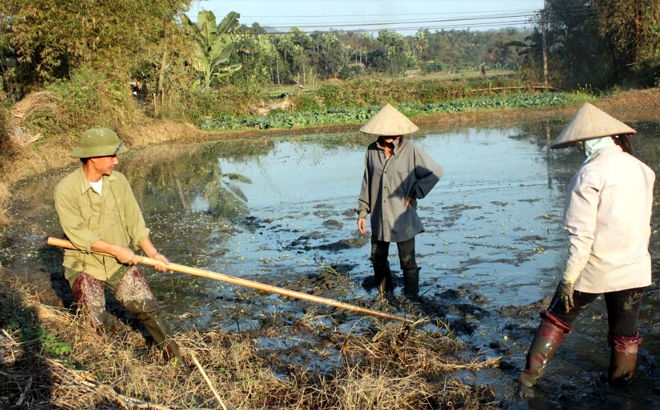 Nông dân huyện Yên Bình làm đất gieo cấy vụ xuân 2020.