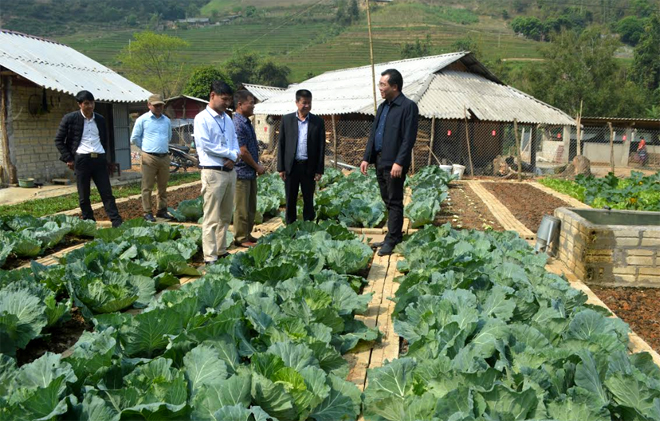 Đồng chí Nông Việt Yên - Bí thư Huyện ủy cùng lãnh đạo các ngành của huyện kiểm tra mô hình trồng rau sạch tại xã Hồ Bốn.