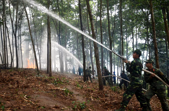 Các lực lượng tham gia diễn tập ứng phó cháy rừng và tìm kiếm cứu nạn tại huyện Yên Bình.