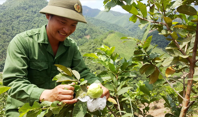 Nong Kim Ngoc’s joy at the first products of his farm.