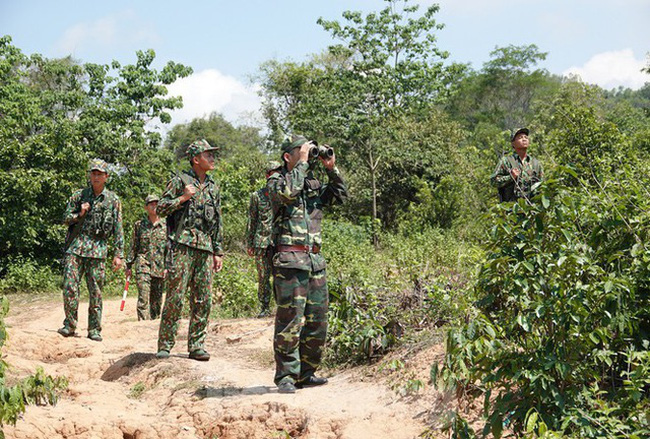 Ảnh minh họa