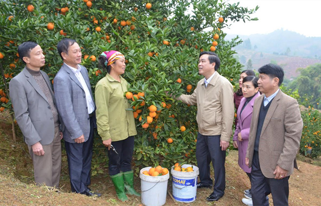 Lãnh đạo huyện Văn Chấn động viên người dân xã thị trấn Sơn Thịnh phát triển cây ăn quả có múi.