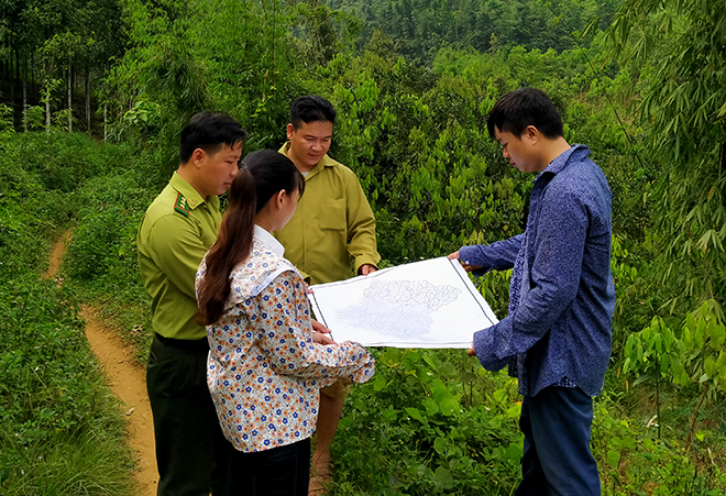 Kiểm lâm huyện Lục Yên phối hợp rà soát, lên phương án bảo vệ rừng tại xã Phúc Lợi, huyện Lục Yên.