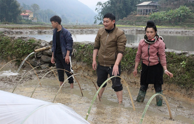 Lãnh đạo Trung tâm dịch vụ hỗ trợ phát triển nông nghiệp huyện Trạm Tấu hướng dẫn chị Hà Thị Nghiễn cách phòng chống rét cho mạ.