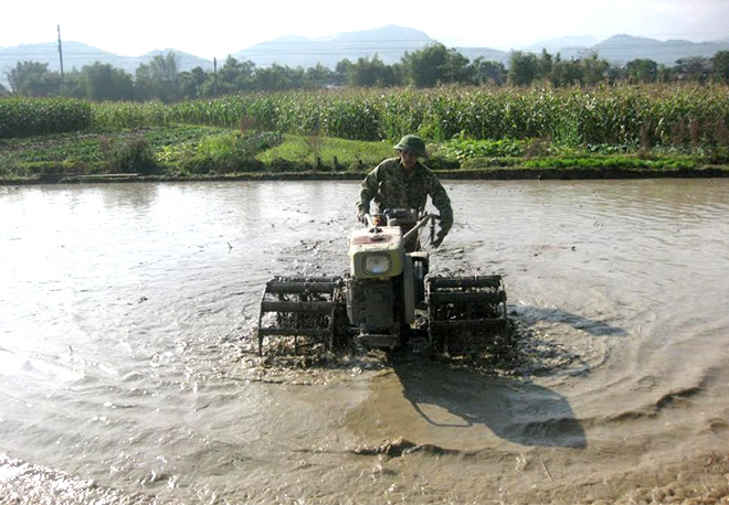 Nông dân huyện Văn Yên khẩn trương làm đất gieo cấy lúa xuân.