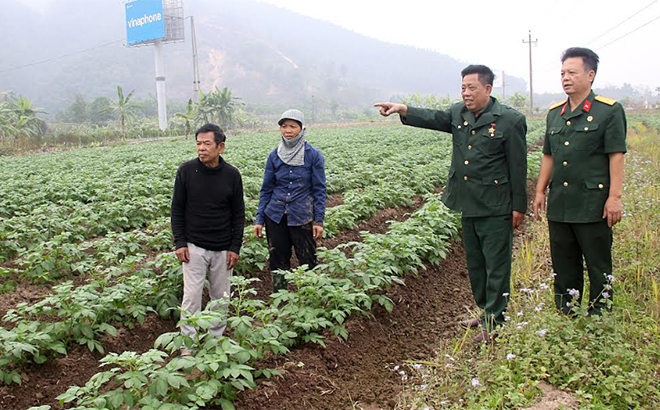 CCB Lê Chí Công (người chỉ tay) giới thiệu với lãnh đạo Hội CCB huyện Trấn Yên về khu vực trồng cây khoai tây năm 2021.