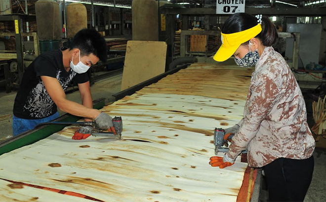 Công nhân Công ty cổ phần Juma Yên Bái trụ sở tại xã Xuân Ái huyện Văn Yên đẩy mạnh sản xuất cuối năm.
