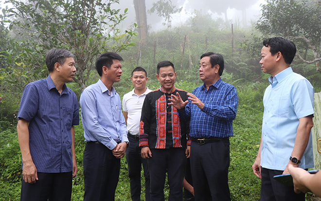 Bộ trưởng Bộ Nông nghiệp và Phát triển nông thôn Lê Minh Hoan cùng các đồng chí lãnh đạo tỉnh thăm vùng chè Shan tuyết cổ thụ Suối Giàng, huyện Văn Chấn.