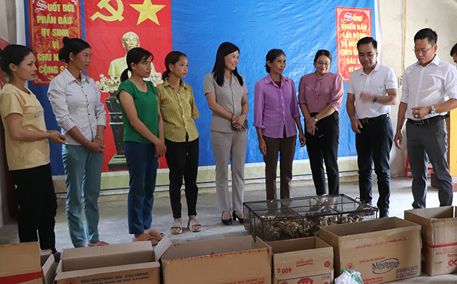 Chủ tịch Hội LHPN tỉnh Nguyễn Thị Bích Nhiệm (đứng giữa) cùng nhà tài trợ trao hỗ trợ gà giống cho hội viên phụ nữ xã Minh Tiến, huyện Lục Yên.