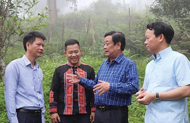 Bộ trưởng Lê Minh Hoan thăm vùng chè Suối Giàng, Văn Chấn, Yên Bái