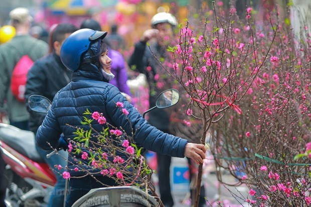 Cold weather is expected to blanket northern provinces during Tet holiday.