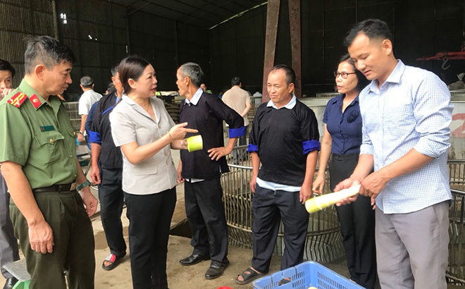 Đồng chí Hoàng Thị Vĩnh - Ủy viên Ban Thường vụ, Trưởng ban Ban Dân vận Tỉnh ủy thăm mô hình xây dựng và duy trì thôn nông thôn mới kiểu mẫu tại xã Hồng Ca, huyện Trấn Yên.