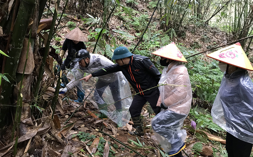 Cán bộ nông nghiệp hướng dẫn người dân xã Lương Thịnh cắt tỉa, chăm sóc tre măng Bát độ.