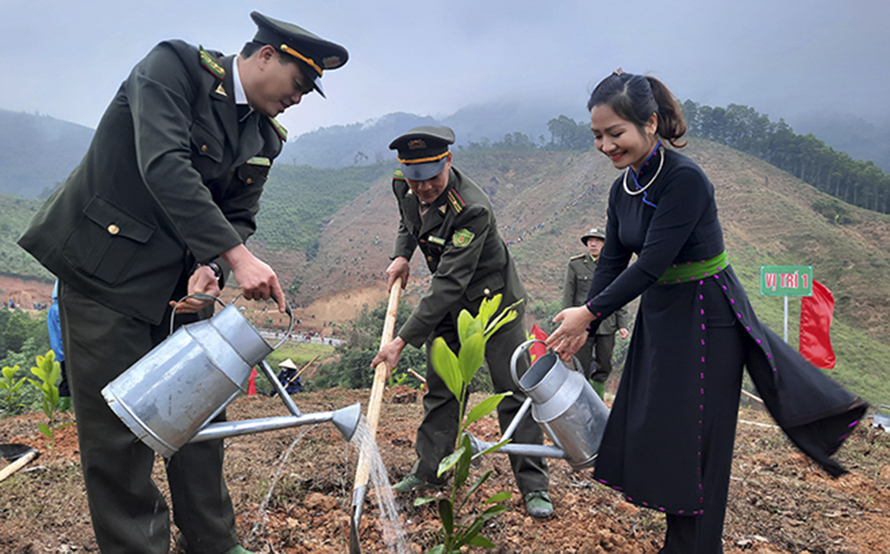 Năm 2023, tỉnh Yên Bái đã trồng được 16.065,4 ha rừng, đạt 103,6% kế hoạch giao