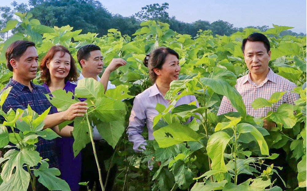 Đồng chí Luyện Hữu Chung - Bí thư Huyện ủy, Chủ tịch HĐND huyện Văn Yên cùng các đồng chí lãnh đạo 2 huyện Văn Yên, Trấn Yên trao đổi chia sẻ kinh nghiệm về lĩnh vực phát triển nghề trồng dâu nuôi tằm.