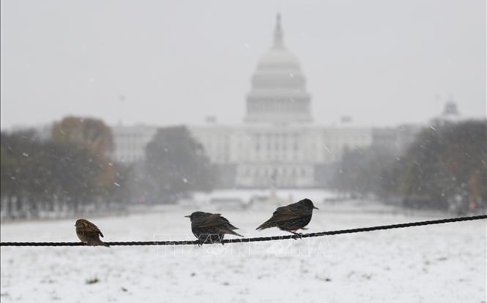 Tuyết rơi nặng hạt ở Washington D.C. Ảnh tư liệu - minh họa