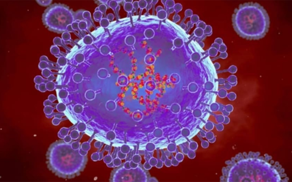 Minh hoạ máy tính về các hạt của Metapneumovirus