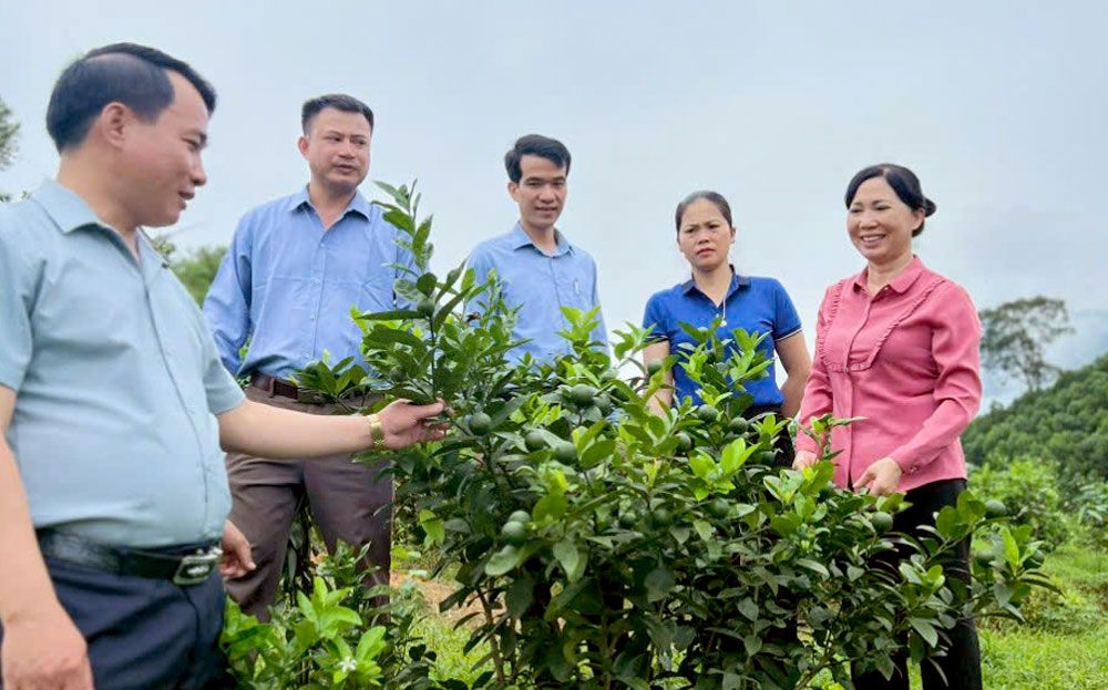 Thời gian qua, tỉnh luôn tạo thuận lợi cho hộ nghèo, hộ cận nghèo tiếp cận các chính sách hỗ trợ phát triển sản xuất nông nghiệp để vươn lên thoát nghèo bền vững