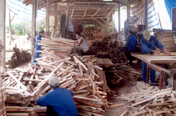 Chế biến gỗ và sản phẩm tre nứa đạt 174% kế hoạch.