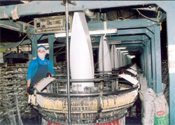 Dây chuyền sản xuất bao bì của Công ty TNHH Yên Phú.