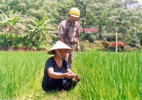 (Ảnh: Nguyễn Giang)