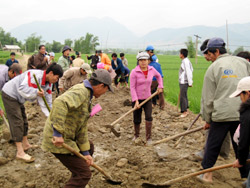 Nhân dân xã Thanh Lương (Văn Chấn) tham gia làm đường giao thông nông thôn.