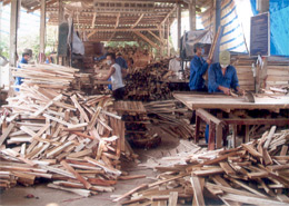 Các HTX chế biến gỗ rừng trồng đã góp  phần quan trọng nâng cao hiệu quả kinh tế cho người trồng rừng ở tỉnh ta.

