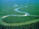 Sông Amazon.