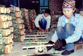 Xã viên HTX Quế Sơn (Văn Yên) sơ chế sản phẩm quế kẹp số 3 để xuất khẩu.