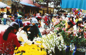 Chợ hoa ngày tết.