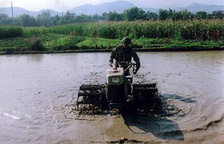 Làm đất chuẩn bị gieo cấy.
