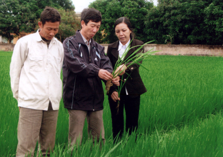 Sản xuất nông nghiệp cần rất có sự vào cuộc
của nhà khoa học.
