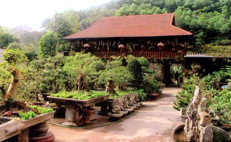 Không gian vườn cây cảnh của gia đình ông Lương Đoàn Đường, phường Yên Thịnh thành phố Yên Bái.
(Ảnh: Đức Toàn)