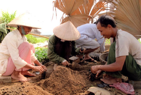 Người dân xã Đại Phác làm bầu cây mướp đắng giống.
