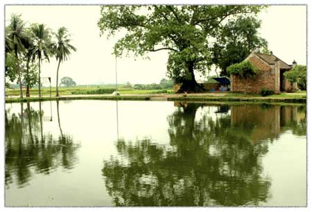 Làng quê bình yên. (Ảnh minh họa)