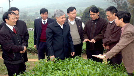 Đồng chí Đỗ Văn Chiến - Ủy viên BCH Trung ương Đảng, Bí thư Tỉnh ủy Yên Bái thăm vùng sản xuất chè tại huyện Văn Chấn.