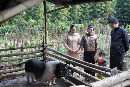 Gia đình bà Lò Thị Nghen (thứ 2, trái sang) ở Bản Hốc, xã Cát Thịnh đã thoát nghèo nhờ được hưởng các chính sách hỗ trợ của Nhà nước, địa phương và giúp đỡ của cộng đồng.
