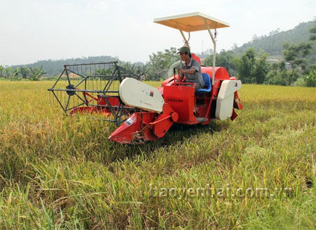 Việc áp dụng khoa học kỹ thuật vào sản xuất góp phần lớn nâng cao năng suất cây trồng. (Ảnh: Nông dân xã An Thịnh sử dụng máy gặt thu hoạch lúa mùa).
