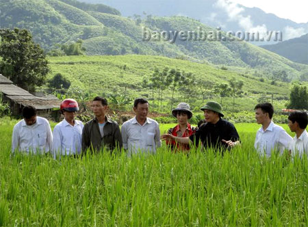 Đồng chí Trần Thế Hùng - Bí thư Huyện ủy Văn Yên (thứ 3, phải sang) kiểm tra tình hình sản xuất nông nghiệp trên địa bàn.
