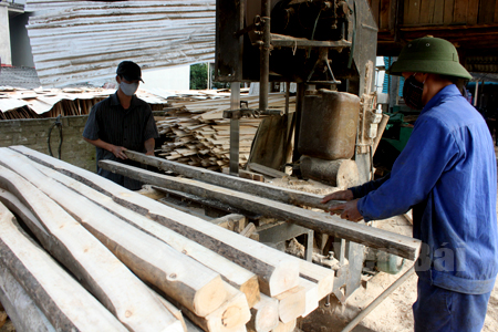 Có thêm nguồn vốn, xưởng chế biến gỗ gia đình chị Nguyễn Thị Quyên tạo công ăn việc làm cho nhiều lao động địa phương.