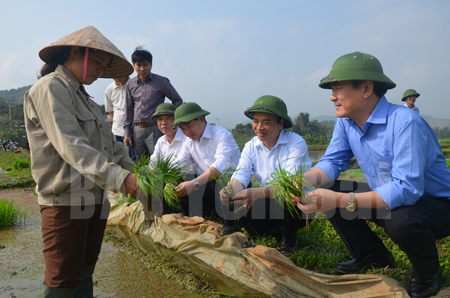 Các đồng chí lãnh đạo tỉnh kiểm tra tình hình sản xuất nông nghiệp tại huyện Văn Yên.
