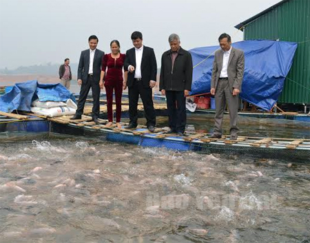 Các đồng chí lãnh đạo huyện Yên Bình kiểm tra mô hình nuôi cá của gia đình bà Nguyễn Thị Thanh, thôn Ao Khoai, xã Thịnh Hưng.