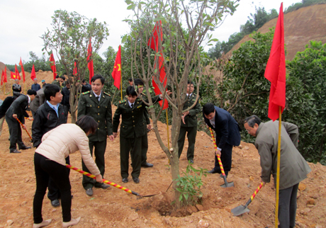 Lãnh đạo huyện và nhân dân đã ra quân trồng cây tại khu vực tổ 7 thị trấn Yên Bình.