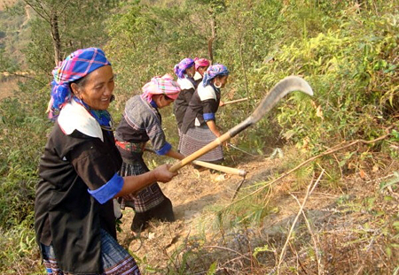 Đồng bào Mông xã Chế Cu Nha làm đường băng cản lửa.
