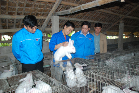 Nông Văn Phấn (thứ hai bên trái) giới thiệu với cán bộ Huyện đoàn Lục Yên và Đoàn xã Mường Lai về kỹ thuật nuôi thỏ.